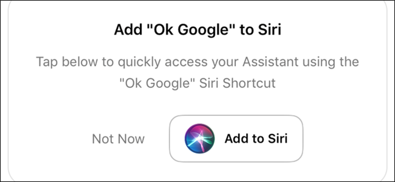 Egin Siri Suck Less gutxiago Erabiltzeko esanez Google Assistant