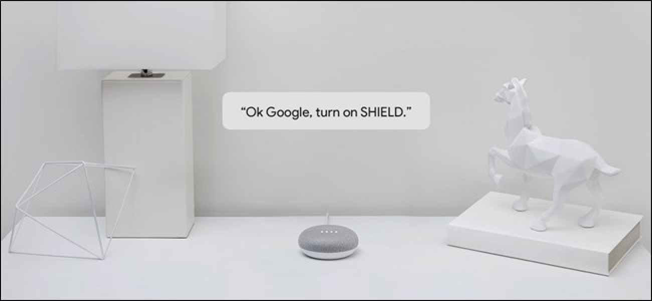 Laster NVIDIA SHIELD kontrolatu ahal izango duzu Google Assistant
