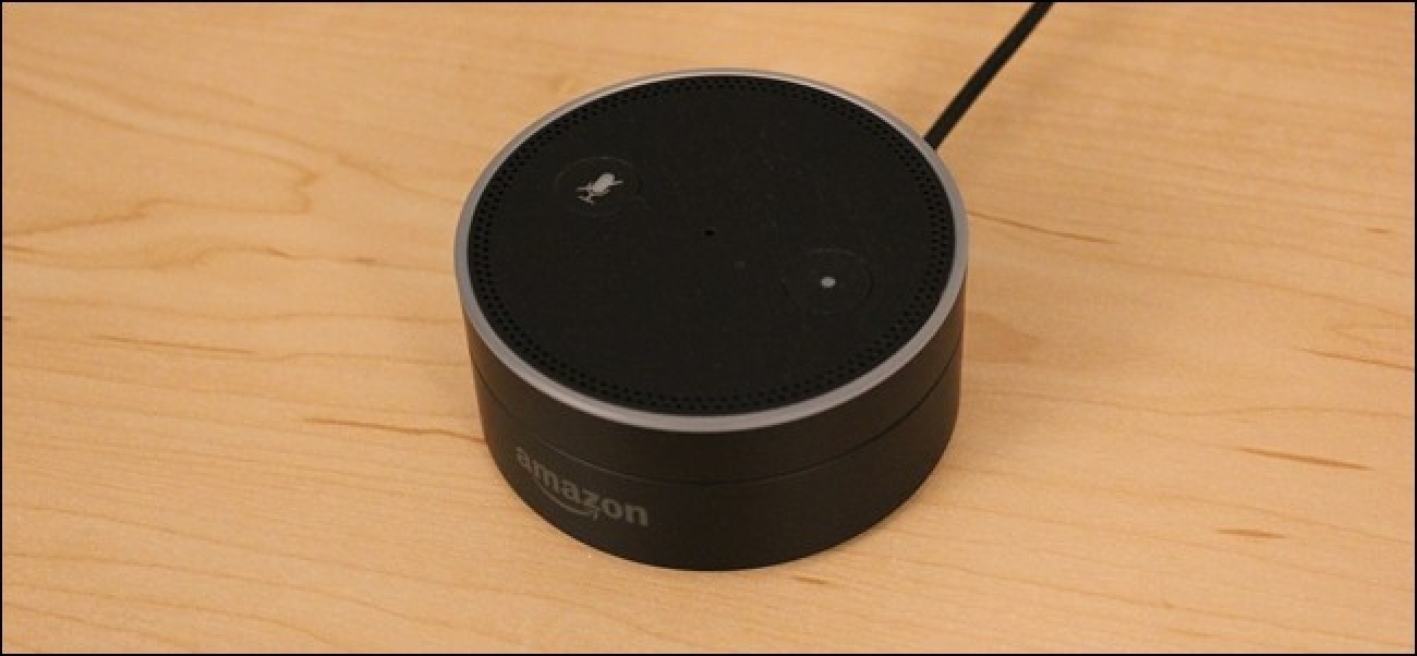 Nola Fabrika Berrezarri Amazon Echo edo Echo Dot