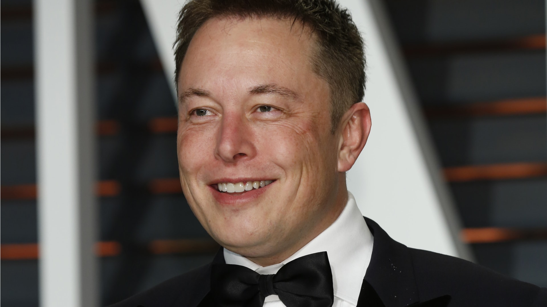 Basogintza Internet konkistatzen du. Elon Musk-ek Treelon izenarekin aldatu zuen eta milioi bat zuhaitz sortu zituen