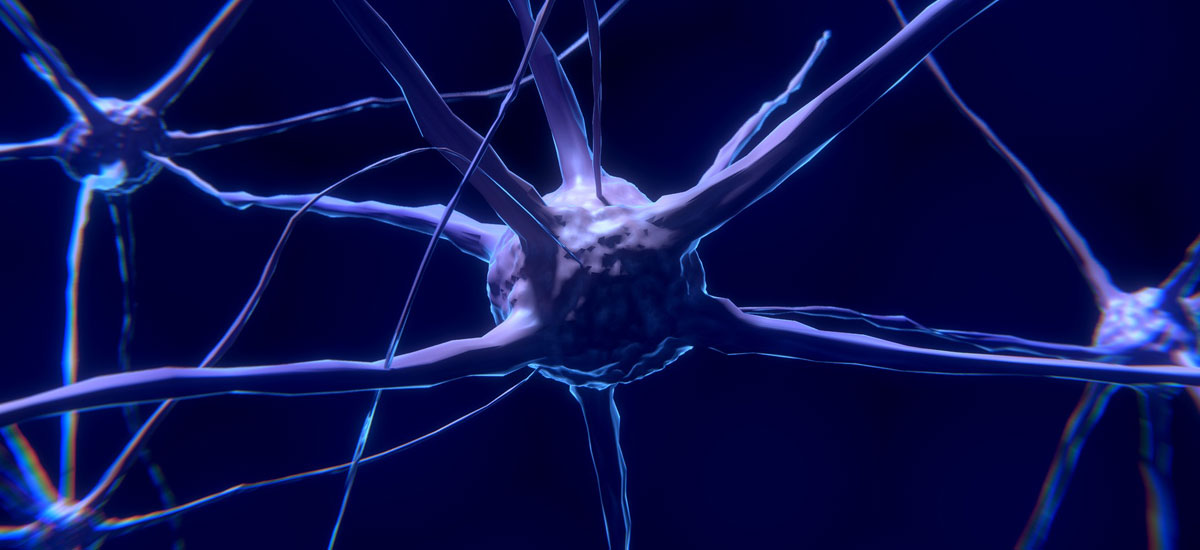 Zientzialariek lortu dute giza nerbio sistemarekin bateragarriak diren neurona programagarriak sortzea