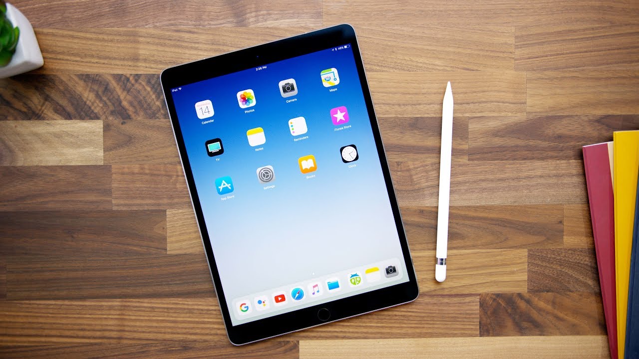 Argia distiratsua 2017 iPad Pro modeloetan agertu zen